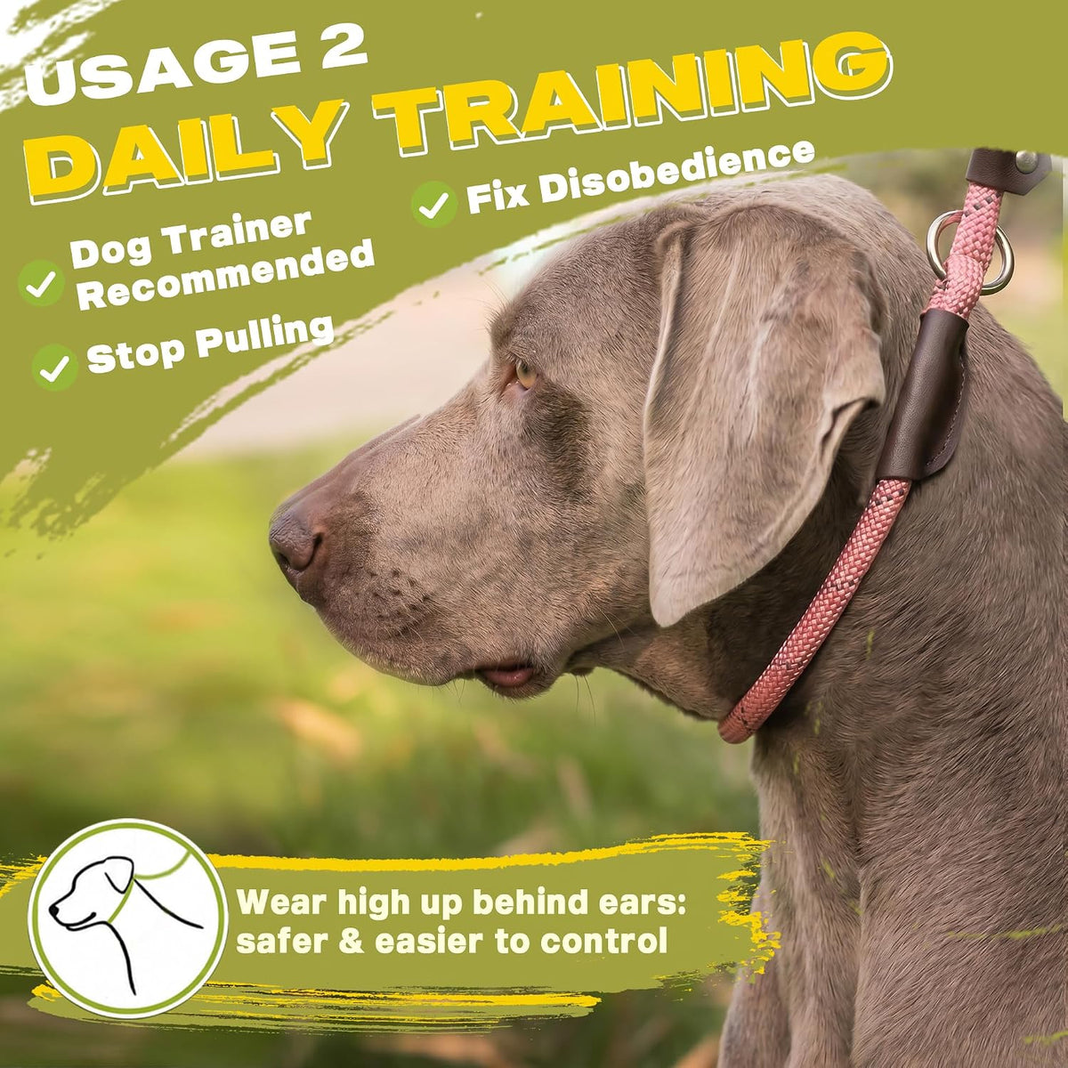 Durable Slip Lead Dog Leash, 6 FT x 1/2" Dog Training Leash, Pink
