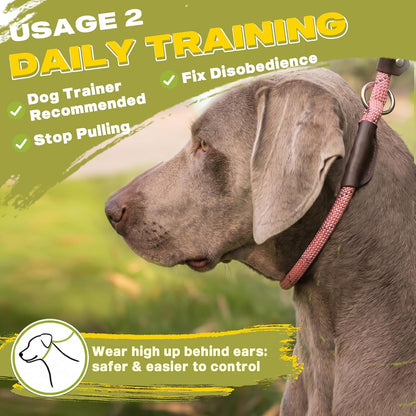 Durable Slip Lead Dog Leash, 6 FT x 1/2" Dog Training Leash, Pink