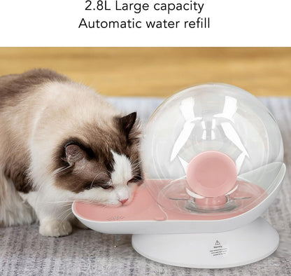 Pet Water Dispenser Snail Shape Automatic Transparent 2.8L Large Capacity Drinking Fountain for Dogs Cats (Pink)