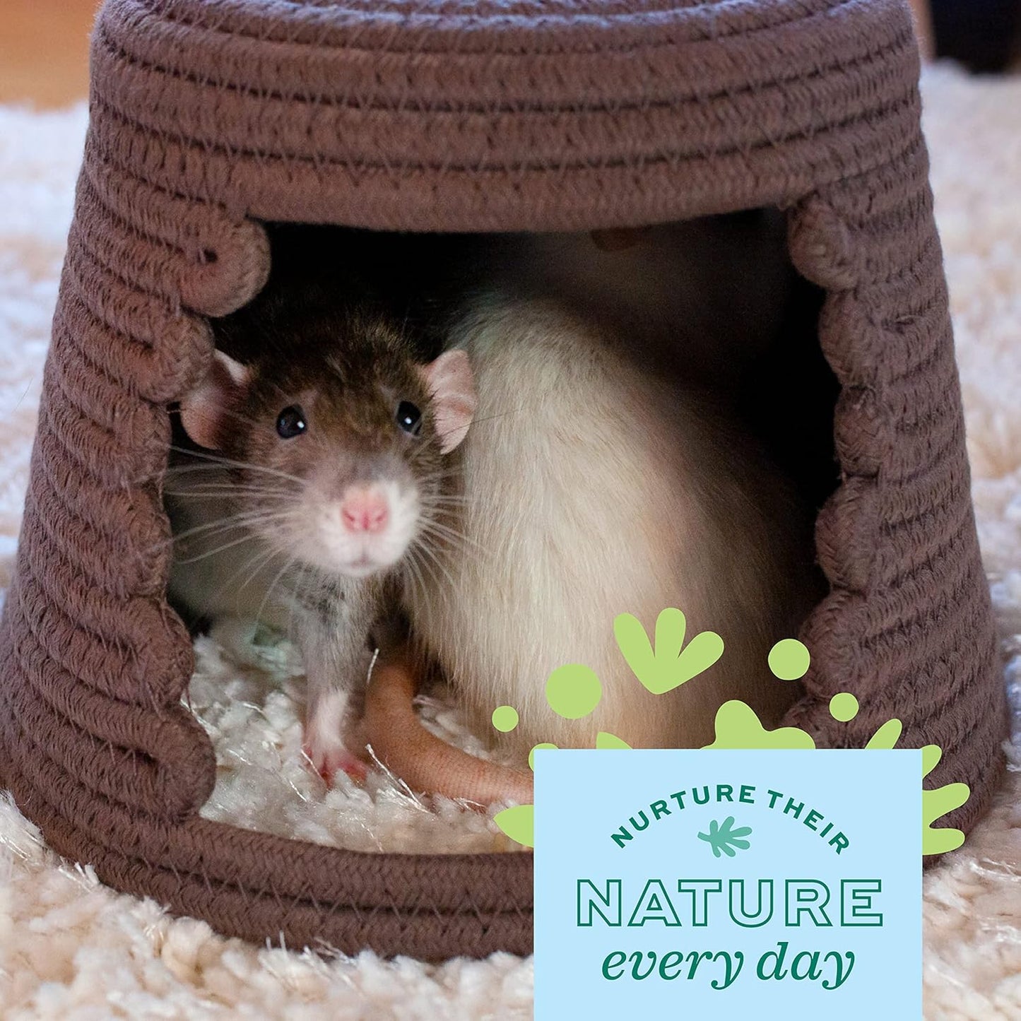 Oxbow Enriched Life Cozy Cave, Large, Guinea Pig Hideout, Bunny Hideaway, Rabbit Bed, Polar Fleece Small Animal Hideout for Guinea Pig Cage, Bunny Enrichment, Rat & Chinchilla Habitat Accessory