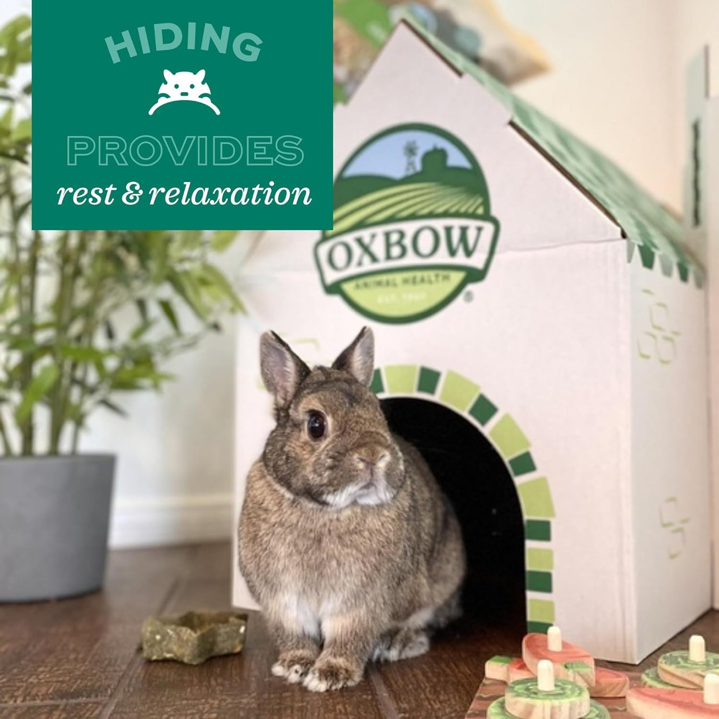 Oxbow Enriched Life Cozy Cave, Large, Guinea Pig Hideout, Bunny Hideaway, Rabbit Bed, Polar Fleece Small Animal Hideout for Guinea Pig Cage, Bunny Enrichment, Rat & Chinchilla Habitat Accessory