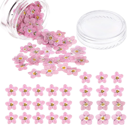 100 Pcs Natural Dried Forget Me Not Flowers Don't Forget Me Real Dried Pressed Flowers for Jewelry Candle Card Making DIY Resin Ornaments Nail Art Decorations(Pink)