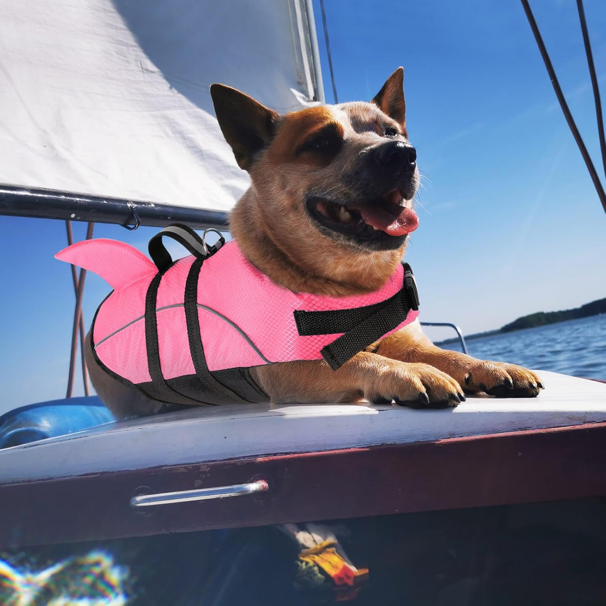 Small Dog Life Jacket Shark Light Puppy Life Vest for Swimming