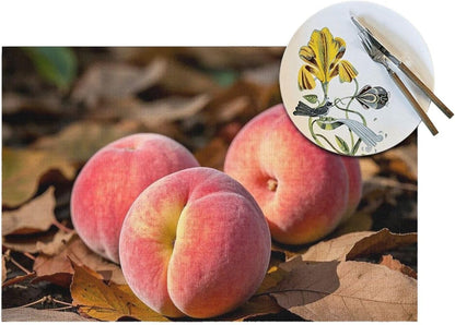 Pink Peach Fruit Fall Placemats Set of 4 PCS - Woven Vinyl Kitchen Table Placemats - Heat Resistant Non-Slip Place Mats for Dining Table, Washable Indoor Outdoor Table Mats 12x18 Inch