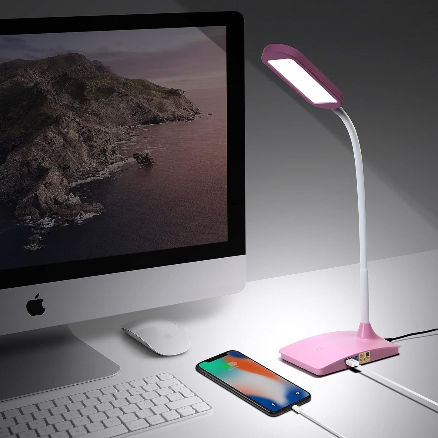 Pink Desk Lamps for Home Office - Super Bright Small Desk Lamp with USB Charging Port, a Perfect LED Desk Light as Study Lamp, Bedside Reading Lights