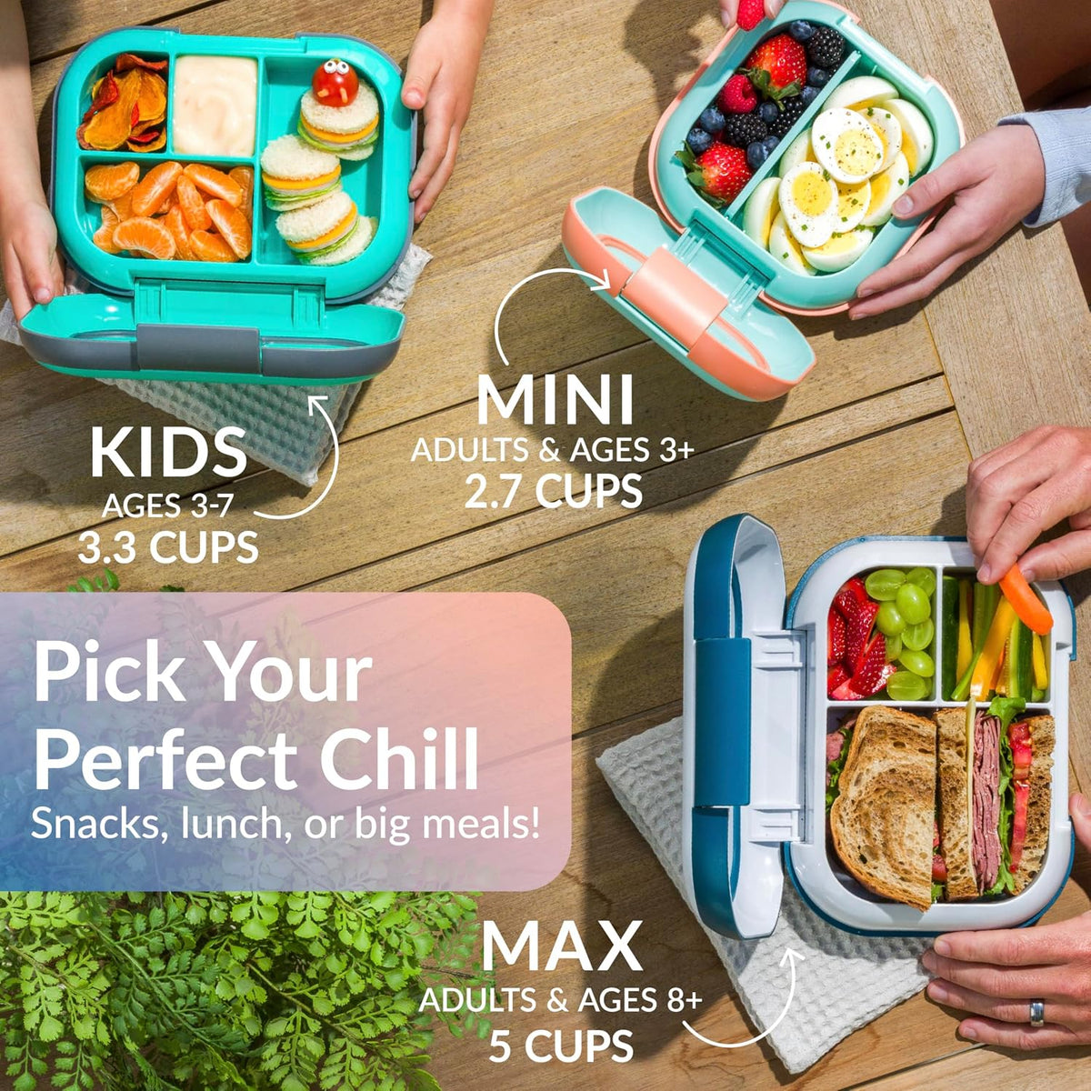Chill Max Leak-Proof XL Bento-Style 3 or 4 Compartment Lunch Box