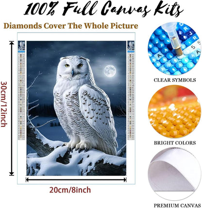 DIY Pink House Diamond Painting Kits, Diamond Painting Embroidery Round Rhinestone Adult Creative Art for Home Decor Room Decor Fun Gift 8X12 inch