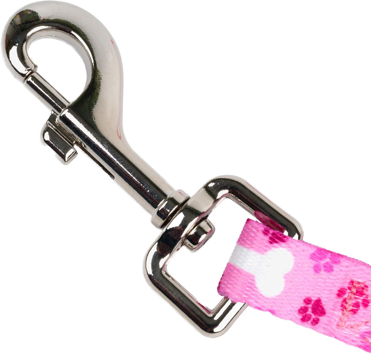 Country Brook Petz - Pink Oh My Dog Spring Loaded Grooming Loop Featuring Unique Designs for Any Style (5/8 Inch Wide, 20 Inch)