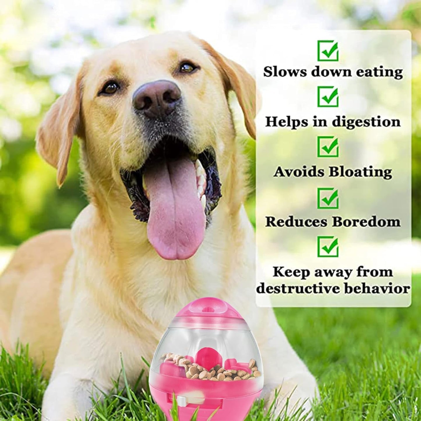 Puppy, Small Dog Breeds, and Pocket Pet Treat Ball, Boredom Buster Ends Naughty Chewing and Bloat, Encourages Exercise, Interactive Puzzle Feeder Ideal for Rabbits, Rats, and Hamsters, 4.6”