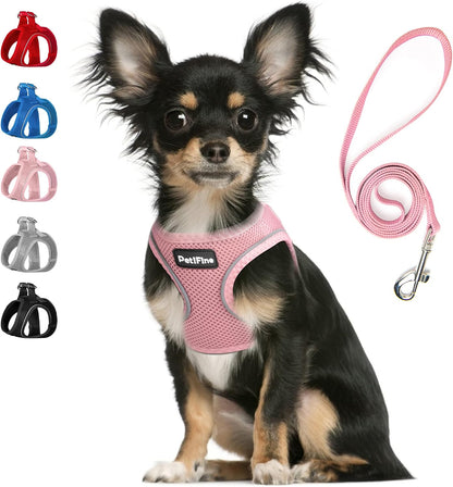 Small Dog Harness and Leash Set Breathable Step-in Puppy Cat Harness,XS
