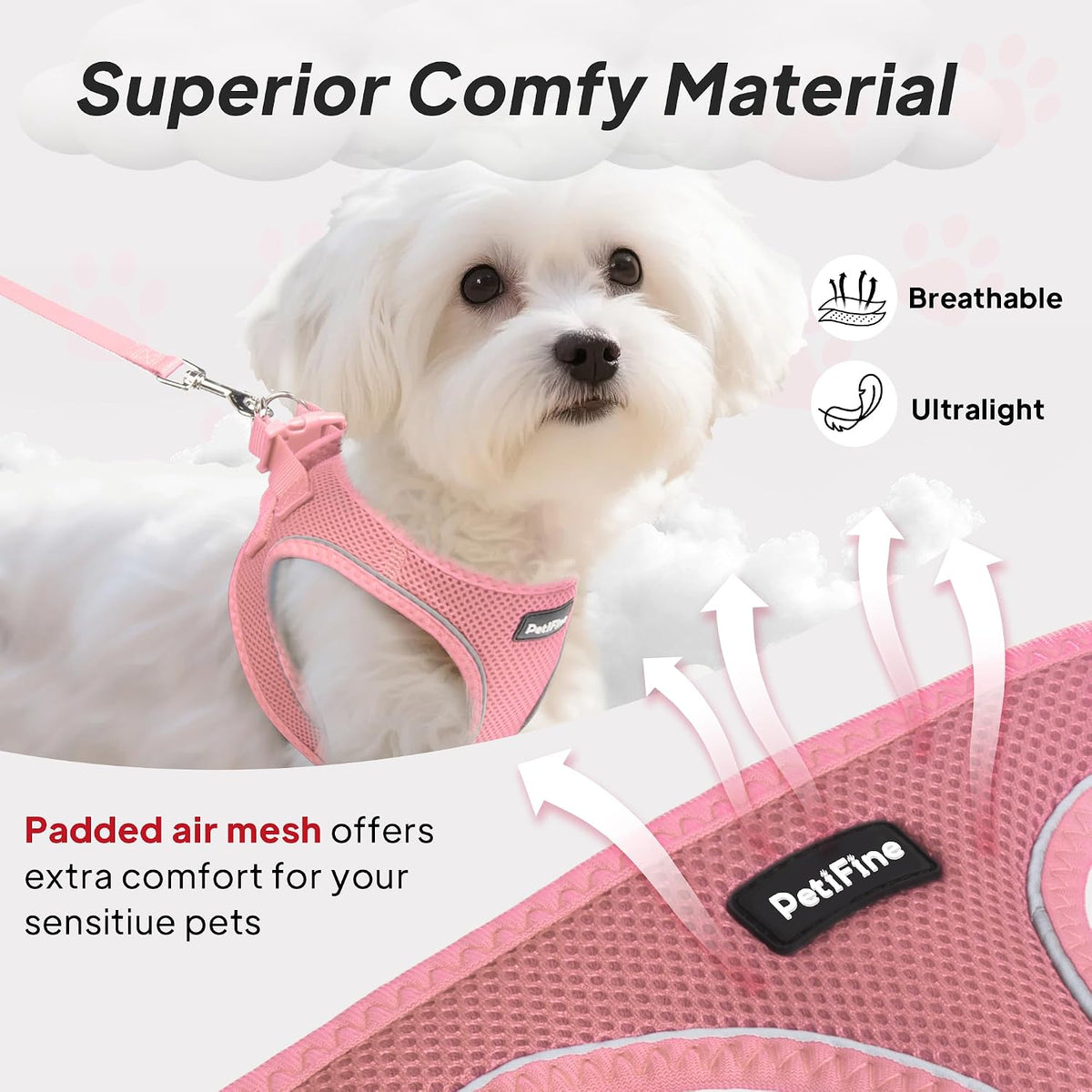 Small Dog Harness and Leash Set Breathable Step-in Puppy Cat Harness,XS
