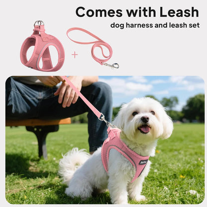 Small Dog Harness and Leash Set Breathable Step-in Puppy Cat Harness,XS