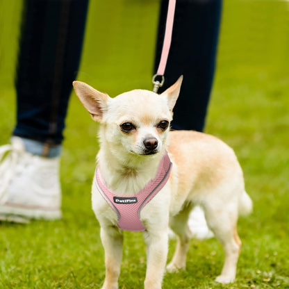 Small Dog Harness and Leash Set Breathable Step-in Puppy Cat Harness,XS