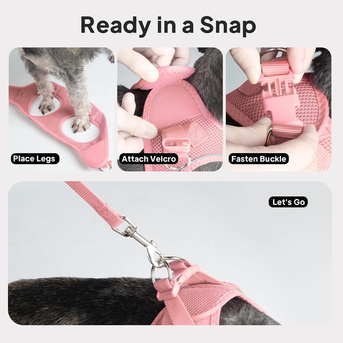 Small Dog Harness and Leash Set Breathable Step-in Puppy Cat Harness,XS