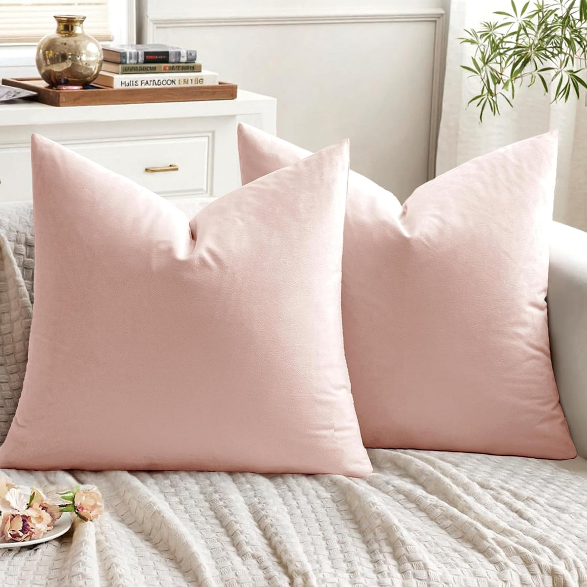 Pack of 2 Velvet Throw Pillow Covers Decorative Square Pillowcase Soft Solid Cushion Case for Sofa Bedroom Chair Car 18x18 Inch Pink