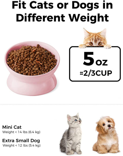 Elevated Cat Food Bowl, 5 Oz Ceramic Raised and Tilted Water Bowl, Anti Vomiting and Protect Pets' Spines Dishes for Small Dog, Fat Faced Cat, Kitten (Pink, 1 Pack)
