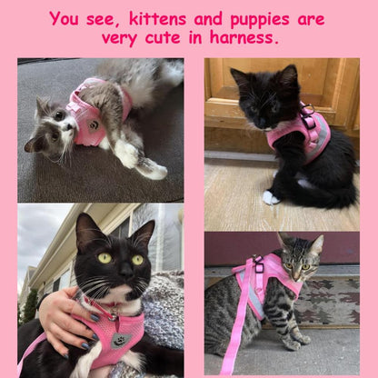 Cat Harness and Leash Set, Adjustable Step-in Reflective Soft Mesh Vest