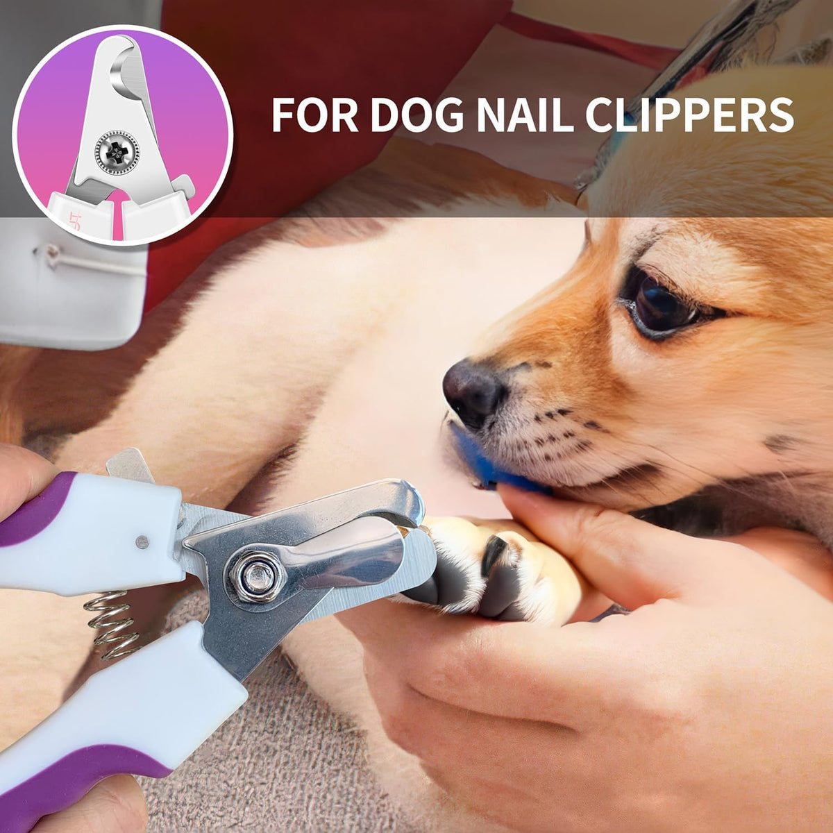 6" Dog Nail Clippers for Small, Medium and Large Breed Professional Pet Nail Trimmers -Suitable for Cats, Rabbits and Guinea Pigs with Safety Guard to Avoid Over Cutting (Pink)