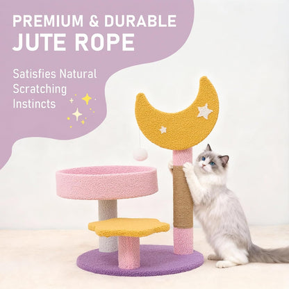 Small Cat Tree, Moon Star Cat Tree 23.5 in for Indoor Activity
