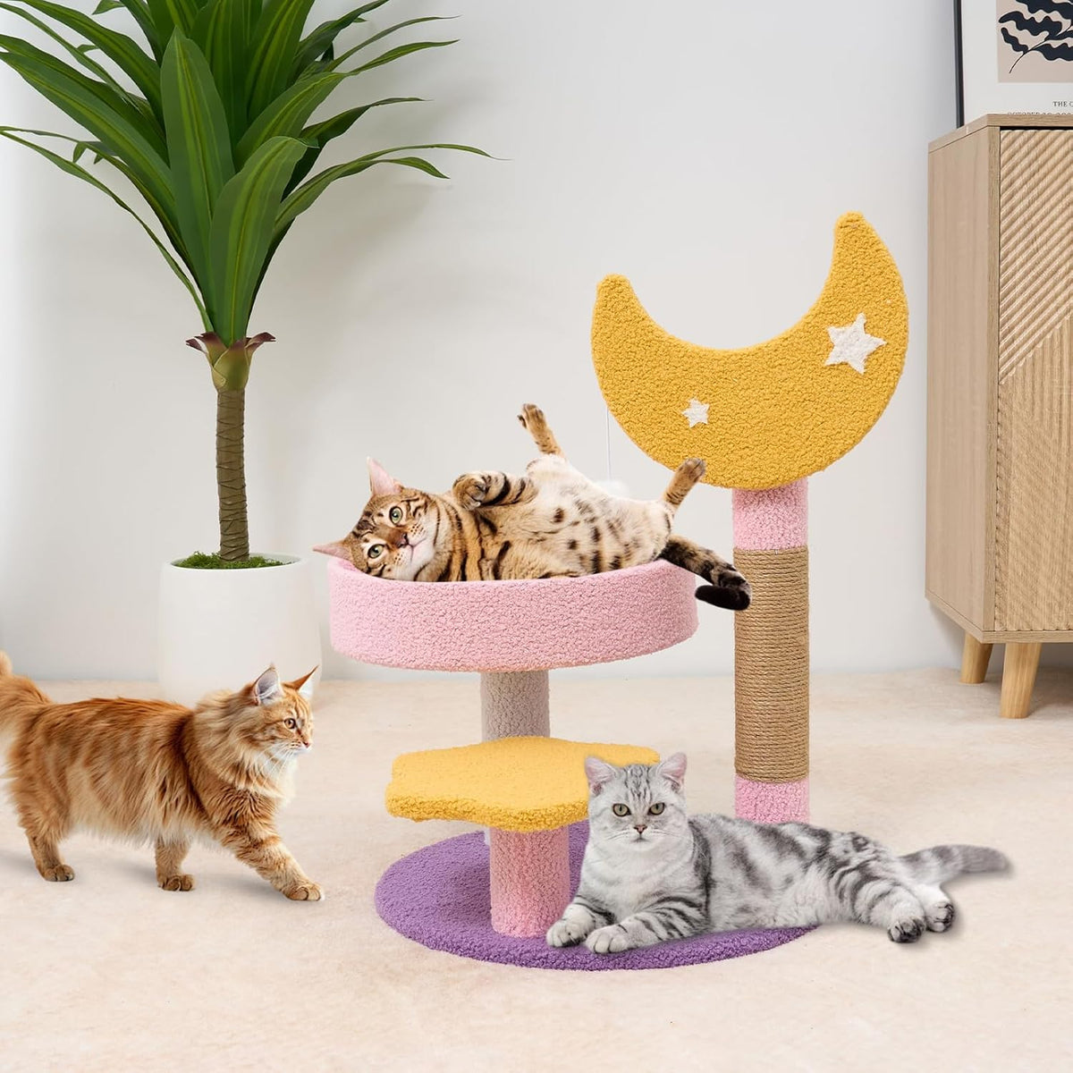 Small Cat Tree, Moon Star Cat Tree 23.5 in for Indoor Activity