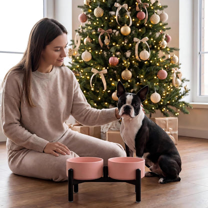 Raised Ceramic Dog Bowl Set with Stand, 3.5 Cups Elevated Dog Food Stand