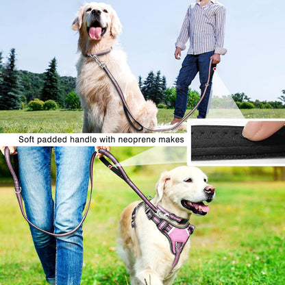 Pet Harness Collar and Leash Set, All-in-one Reflective Dog Harness No Pull with Adjustable Buckles for Puppies, Small, Medium, Large, and Extra-Large Dogs (Large, Pink)
