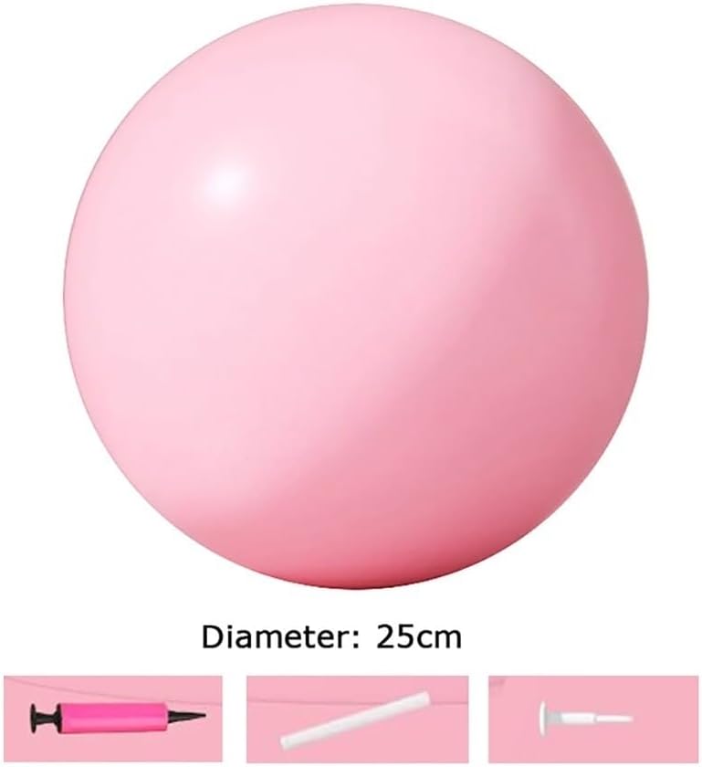Mini Yoga Ball for Exercise,Small Anti Slip Heavy Duty Gym Ball for Fitness,Birthing,Pregnancy,Balance & Core Workout-Pink