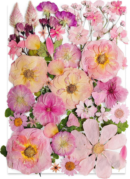 Pink Dried Pressed Flower for Resin,Real Nature Pressing Floral Leaves for DIY Craft, Mold, Jewelry Making, Candle Scrapbooking Supplies