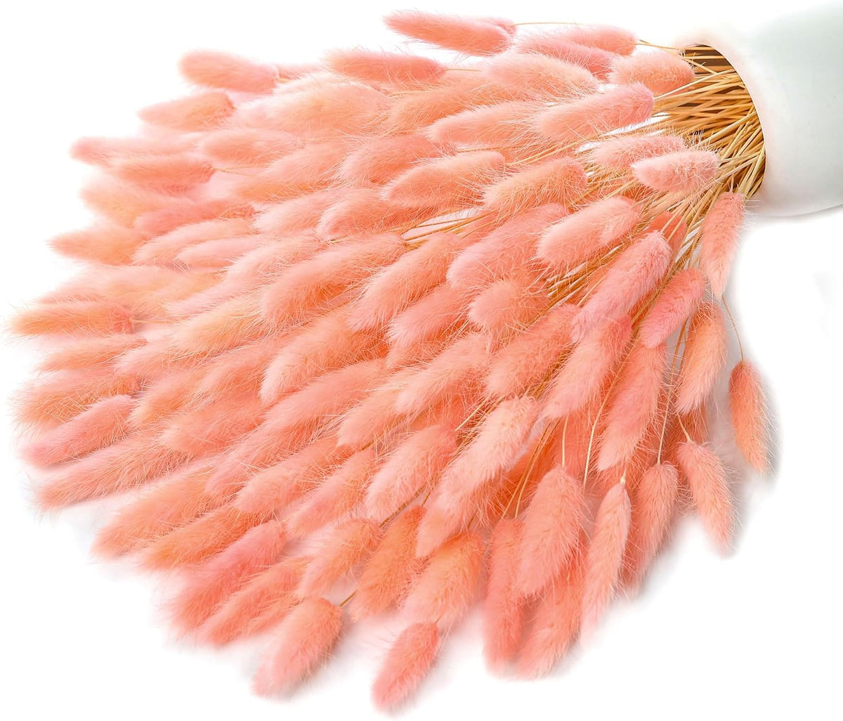 120pcs Dried Bunny Tail, Pink Bunny Tail, Natural Bulk Dried Flowers for DIY Bohemian Wedding Rustic Party Decoration, Home Decoration, Vase Decoration, Wreaths, Cake Decoration. (Pink)