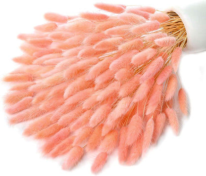 120pcs Dried Bunny Tail, Pink Bunny Tail, Natural Bulk Dried Flowers for DIY Bohemian Wedding Rustic Party Decoration, Home Decoration, Vase Decoration, Wreaths, Cake Decoration. (Pink)