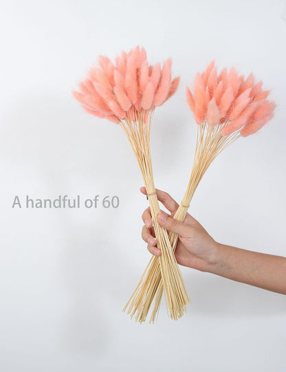 120pcs Dried Bunny Tail, Pink Bunny Tail, Natural Bulk Dried Flowers for DIY Bohemian Wedding Rustic Party Decoration, Home Decoration, Vase Decoration, Wreaths, Cake Decoration. (Pink)