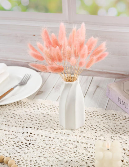 120pcs Dried Bunny Tail, Pink Bunny Tail, Natural Bulk Dried Flowers for DIY Bohemian Wedding Rustic Party Decoration, Home Decoration, Vase Decoration, Wreaths, Cake Decoration. (Pink)