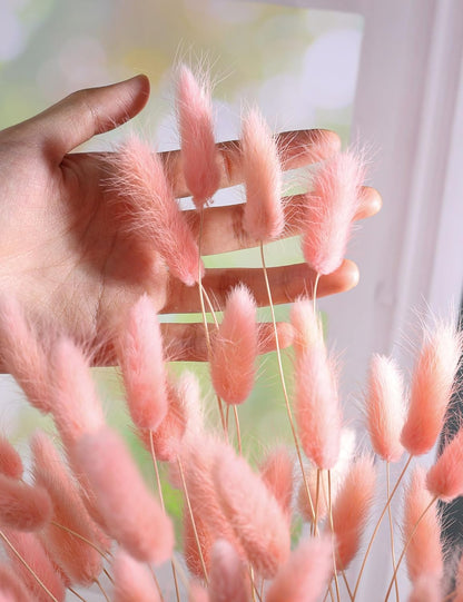 120pcs Dried Bunny Tail, Pink Bunny Tail, Natural Bulk Dried Flowers for DIY Bohemian Wedding Rustic Party Decoration, Home Decoration, Vase Decoration, Wreaths, Cake Decoration. (Pink)