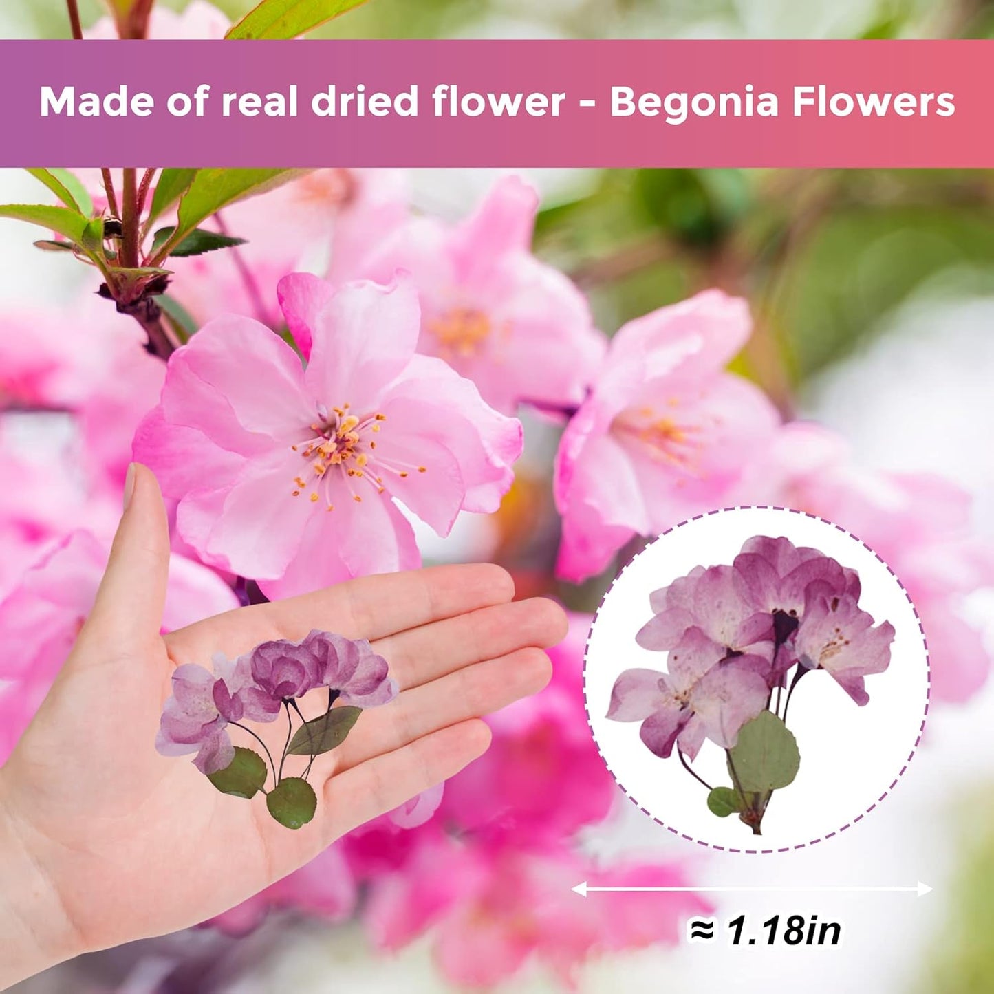42PCS Natural Real Dried Begonia Flowers with Stems for Resin, Nature Pink Purple Pressed Dry Begonia Flower for Art DIY Crafts Jewelry Card Scrapbooking Making Wedding Home Decors