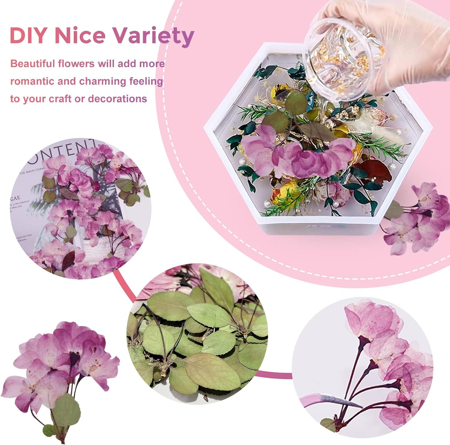 42PCS Natural Real Dried Begonia Flowers with Stems for Resin, Nature Pink Purple Pressed Dry Begonia Flower for Art DIY Crafts Jewelry Card Scrapbooking Making Wedding Home Decors
