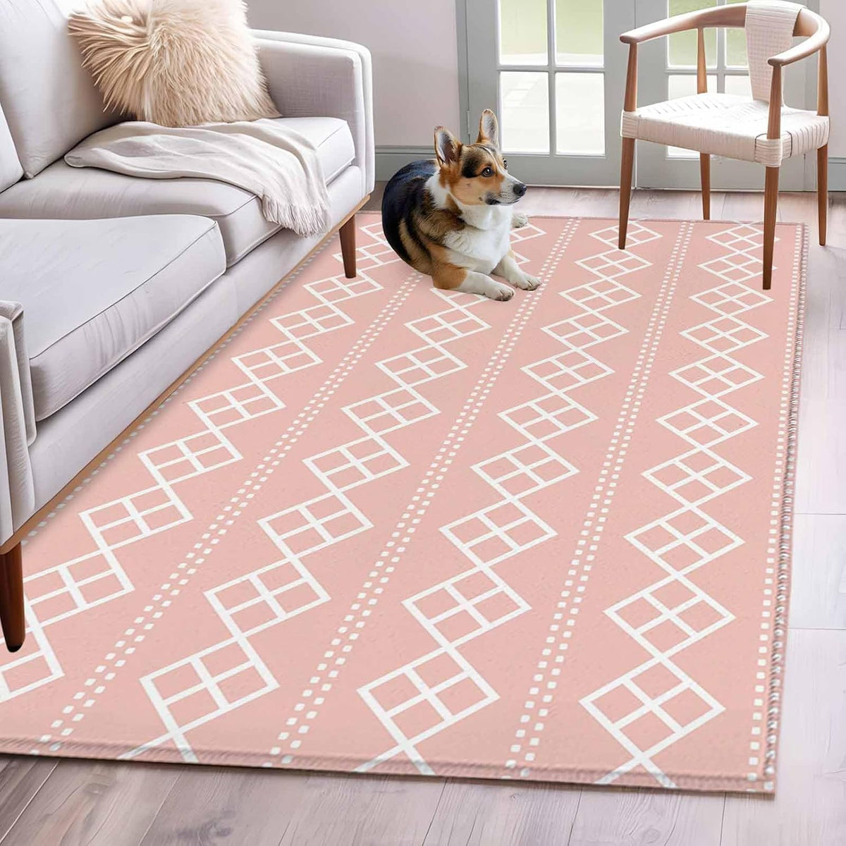 Peach Pink Checkered 4x6 Area Rug for Living Room Bedroom, Abstract White Geometric Argyle Stripe Washable Rugs Absorbent Non-Slip Indoor Carpet for Dining Room Home Office Decor