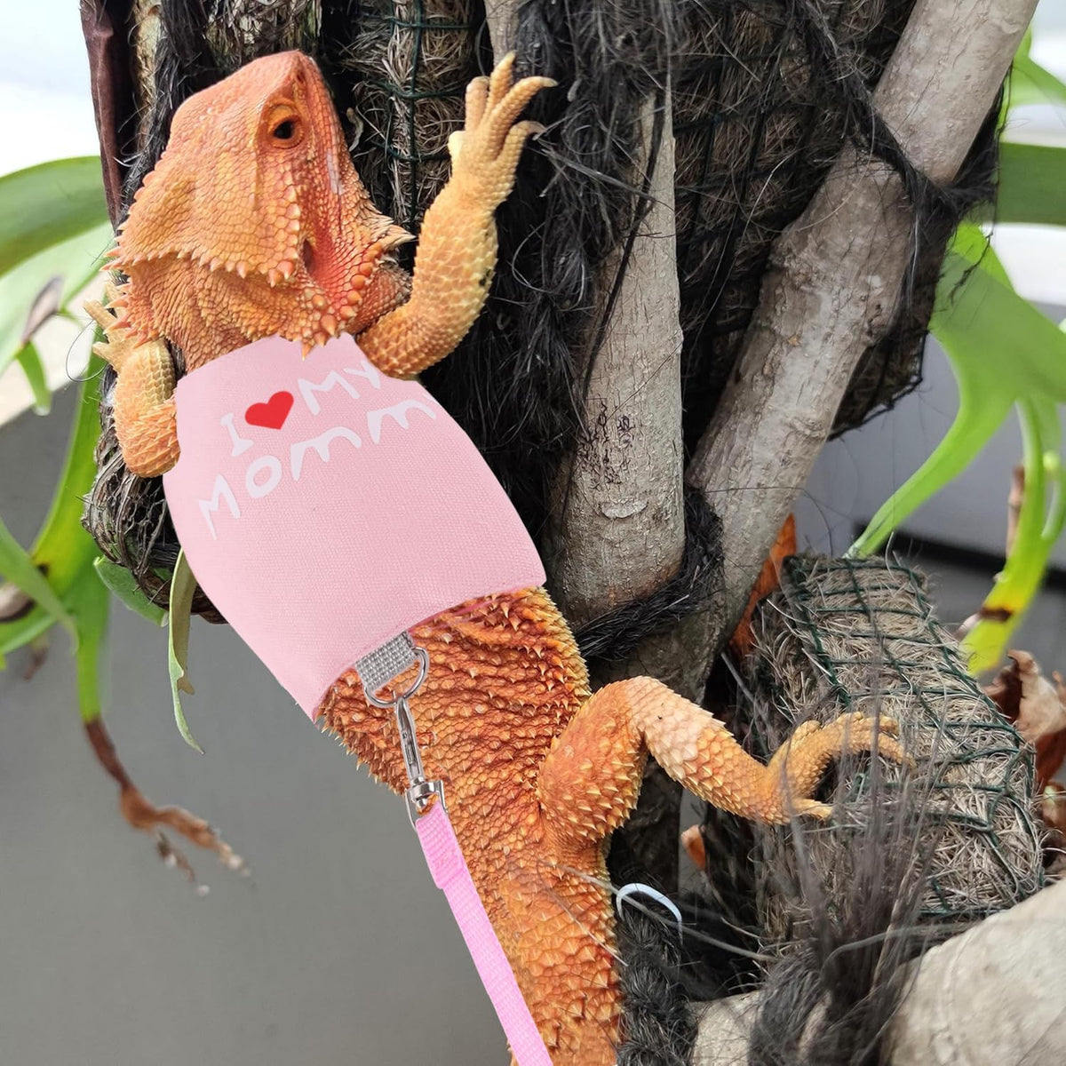 Small Animal Travel Backpack Carrier,Portable Bearded Dragon Bag for Sugar Glider,Hedgehog,Rat,Bunny,Rat,Outdoor Used (Pink, Carrier L+ I Leash)
