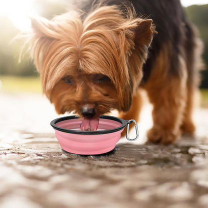 Large Collapsible Dog Bowls 2 Pack, 34oz Foldable Dog Travel Bowl
