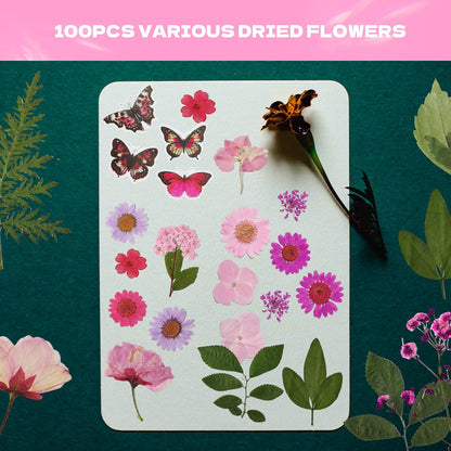 Dried Flowers for Resin 116Pcs Pink Real Natural Pressed Flowers