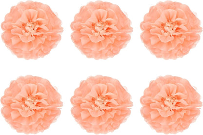 Tissue Paper Pom Poms 8" for DIY Wedding Party Peach Pink 6 PCS