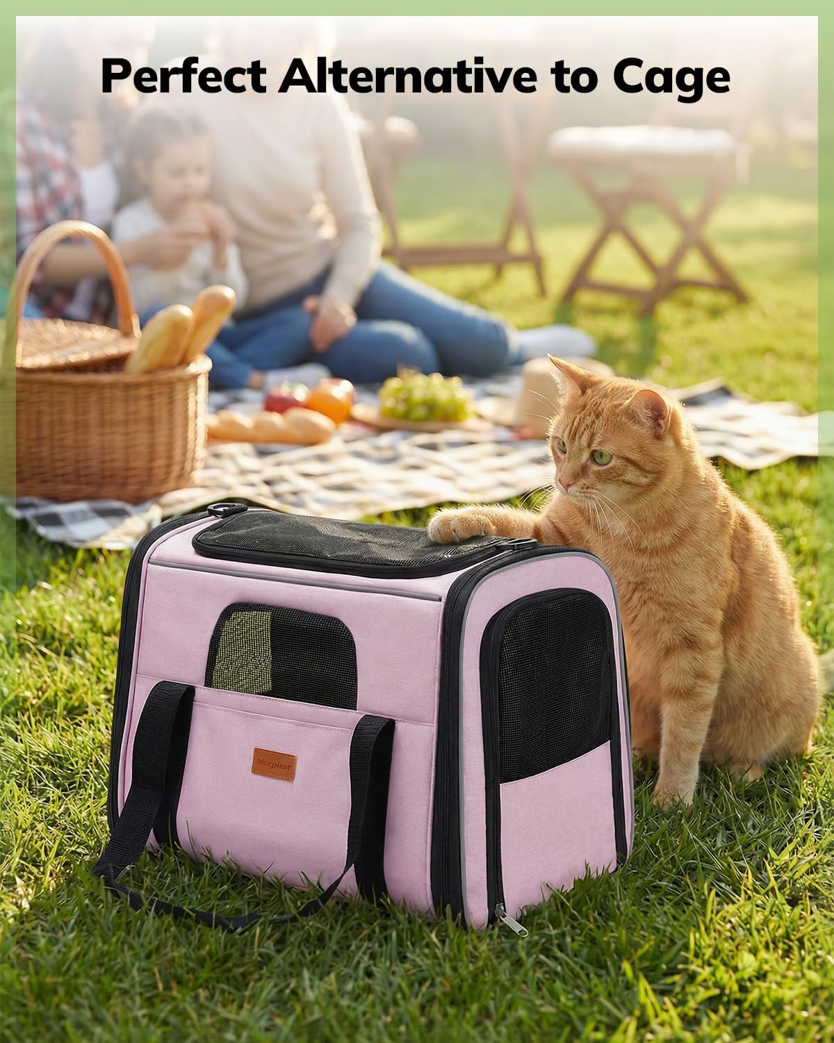 Cat Carrier Soft for Large Medium Cats and Puppy up to 20lbs
