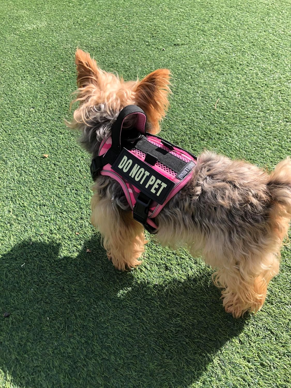 Tactical Dog and Cat Harness for XS and Small Puppy, Air Pet Vest No Pull with Reflective Do Not Pet Patches, Breathable Dog Molle Vests for Training Walking Hunting Camo Pink