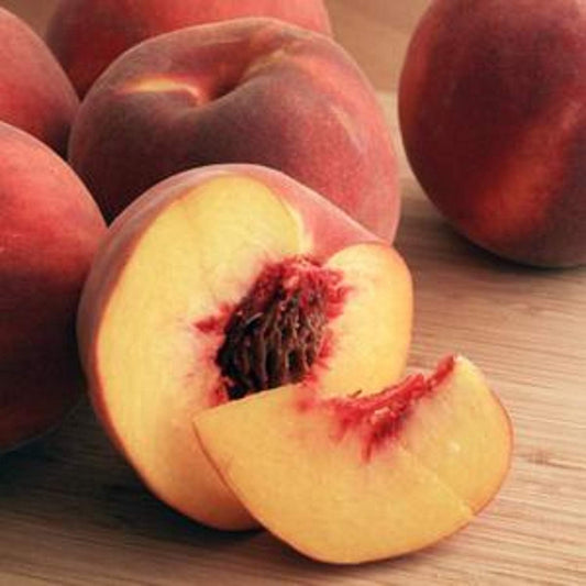 Georgia Peach Fragrance Oil (1 oz Bottle) for Candle Making, Soap Making, Tart Making, Room Sprays, Lotions, Car Fresheners, Slime, Bath Bombs, Warmers…