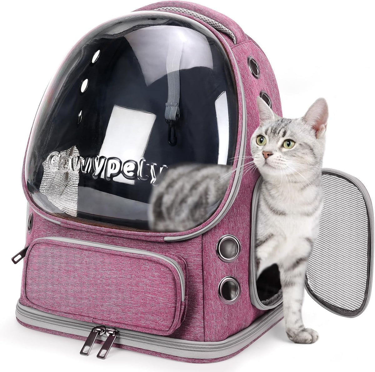 Cat Backpack Carrier Large Space Bubble Backpack up to 12lbs Pink