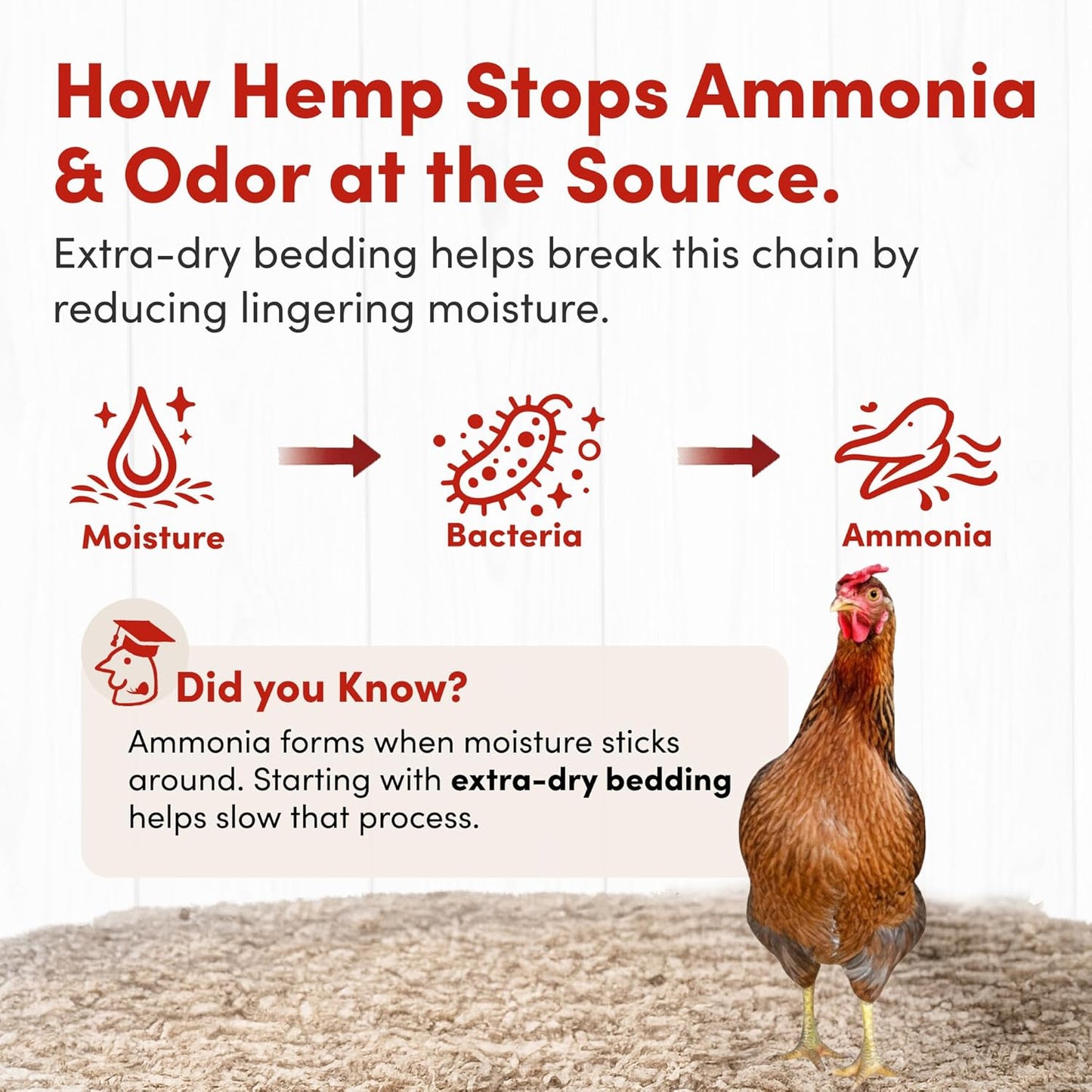 RentACoop Extra-Soft Premium Hemp Bedding 300L – Super Absorbent, Low Dust, Natural Odor Control for Chicken Coops, Nest Boxes, Small Animals, Reptiles & Horses