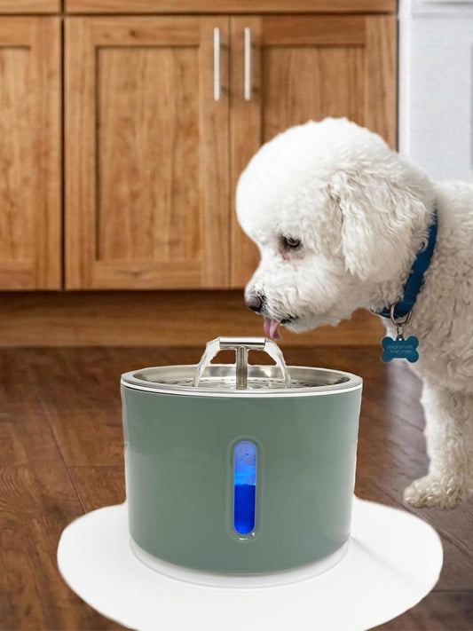 Level One Pets Automated Pet Drinking Fountain
