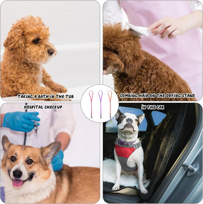 3 Pcs Pet Grooming Loop for Dogs Dog Grooming Supplies Adjustable Fixed Dog Cat Safety Rope Nylon Restraint Noose for Pet Groomings Table and Dogs Groomings Arm