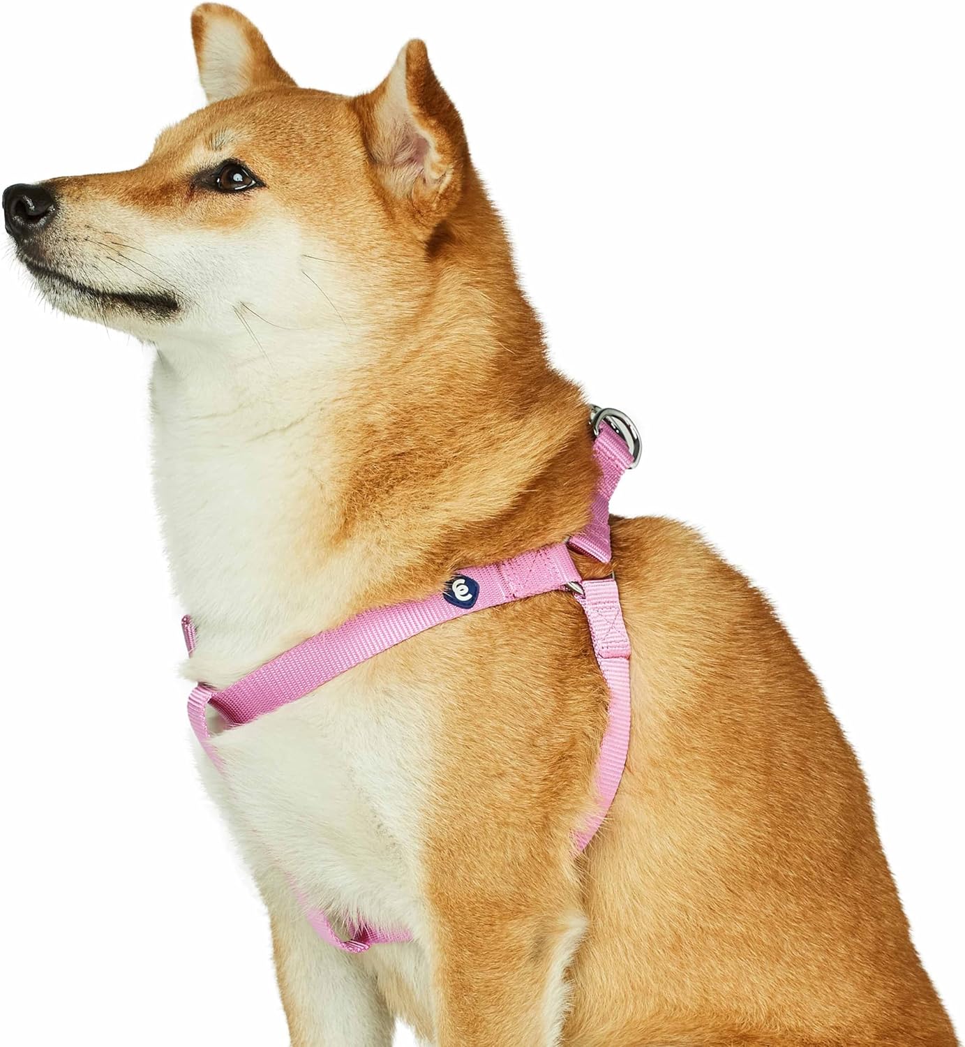 Essentials Step-in Dog Harness, Medium Size | Adjustable Fuchsia Pink Vest | Classic Solid Nylon for Boy & Girl Dogs, Chest Girth 20" -26"
