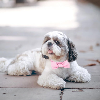 Dog Bow Tie Collar, Adjustable Pink Bowtie for Small Medium Dogs Neck Girth 10.2-14.2in, Cat Tie Tuxedo Comfortable Cotton Girl Pet Grooming Accessory for Formal Wedding Holiday Birthday Party