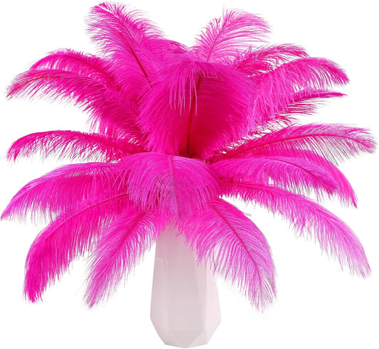 Hot Pink Ostrich Feathers 24pcs Natural Bulk 8-10Inch 20cm-25cm for Crafts Wedding Party Centerpieces Easter Gatsbi and Home Decoration Feathers